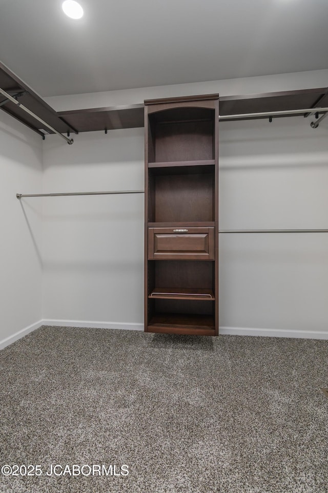 1502 Summerfield Dr, Jefferson City, MO 65109 - spacious closet featuring carpet flooring