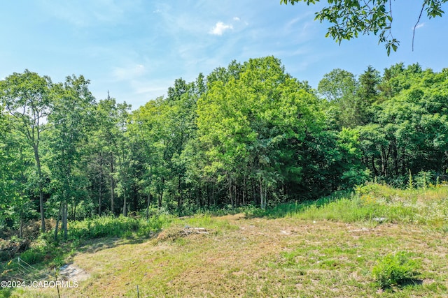 Listing photo 3 for TBD County Road 4002, Holts Summit MO 65043