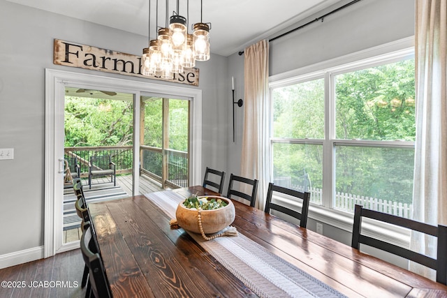 109 Redtail Dr, Ashland, MO 65010 - dining space featuring plenty of natural light, a chandelier, and dark wood-type flooring