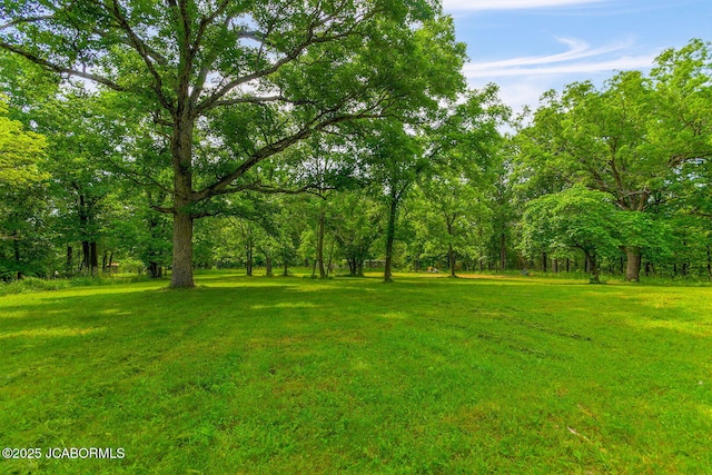 29074 E St, Lincoln, MO 65338 - view of grassy yard