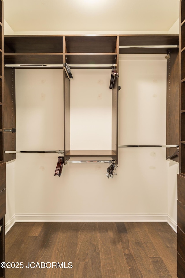 spacious closet featuring wood finished floors