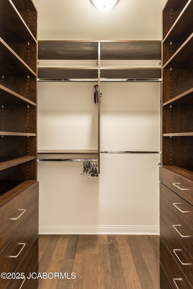 walk in closet featuring dark wood finished floors