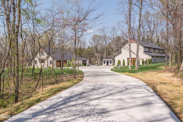 view of street with driveway