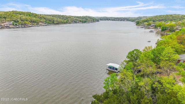 aerial view with a water view and a view of trees