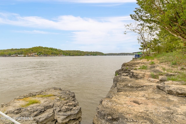 property view of water