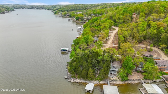 bird's eye view featuring a wooded view and a water view