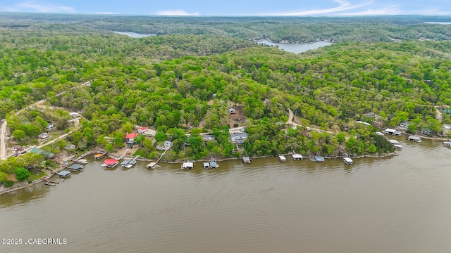 drone / aerial view with a water view and a forest view