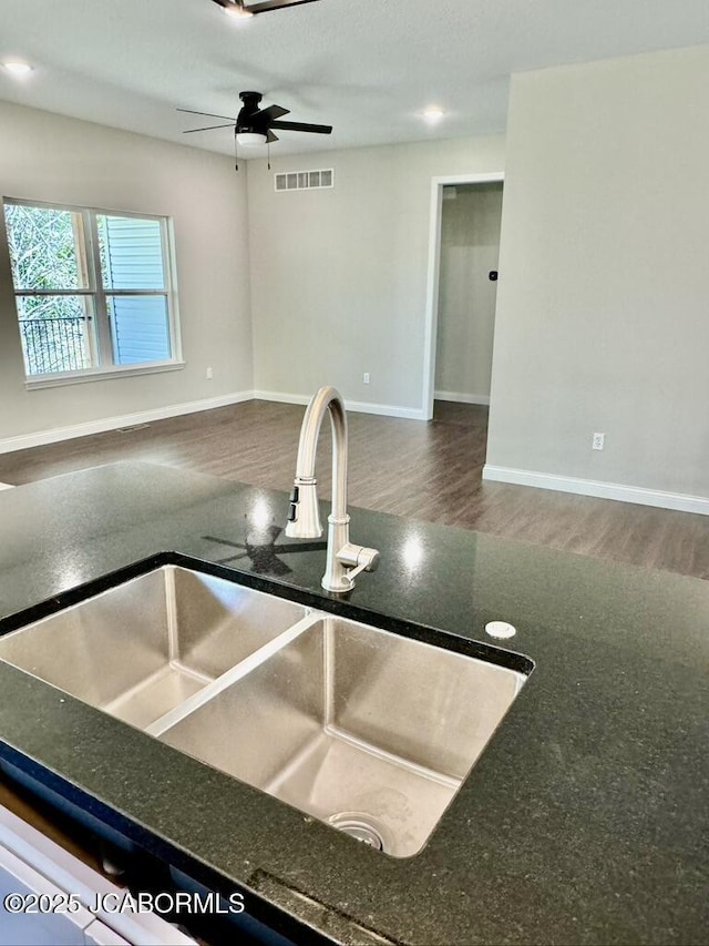 1680 W Fenton Rd, Columbia, MO 65202 - kitchen featuring wood finished floors, ceiling fan, a sink, baseboards, and visible vents