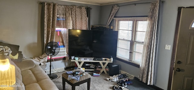 view of carpeted living area