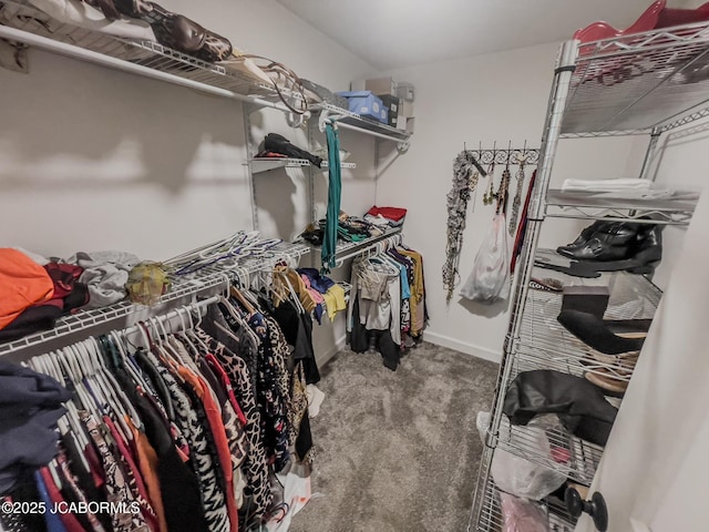 919 Cochise Dr, Holts Summit, MO 65043 - photo 11