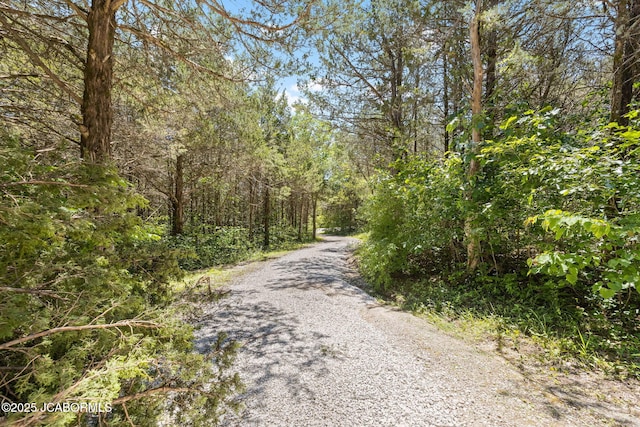 view of street featuring a view of trees