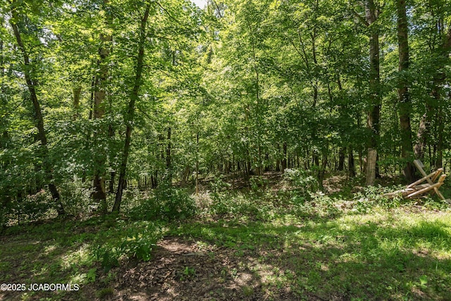 1024 Halifax Rd, Holts Summit, MO 65043 - photo 33