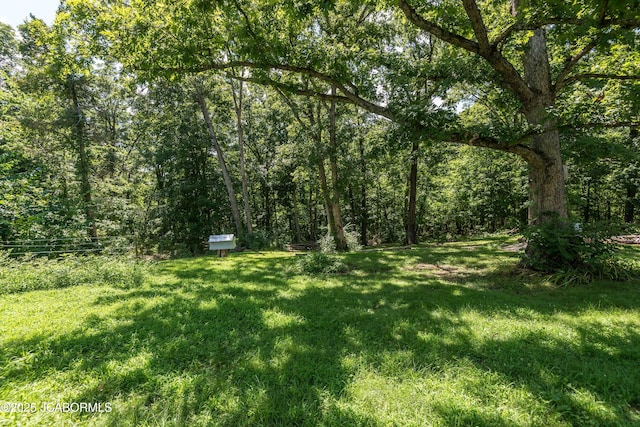 1024 Halifax Rd, Holts Summit, MO 65043 - photo 30