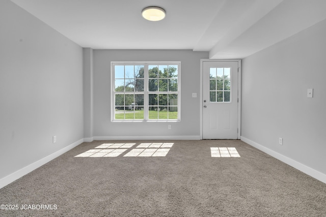 212 Summer Tree Pl, Holts Summit, MO 65043 - photo 37