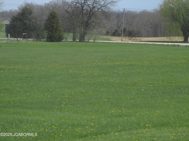 view of home's community with a yard