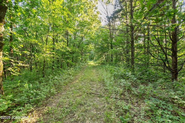20200 S Jemerson Creek Rd, Hartsburg, MO 65039 - photo 17