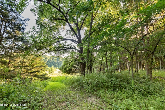 20200 S Jemerson Creek Rd, Hartsburg, MO 65039 - photo 18