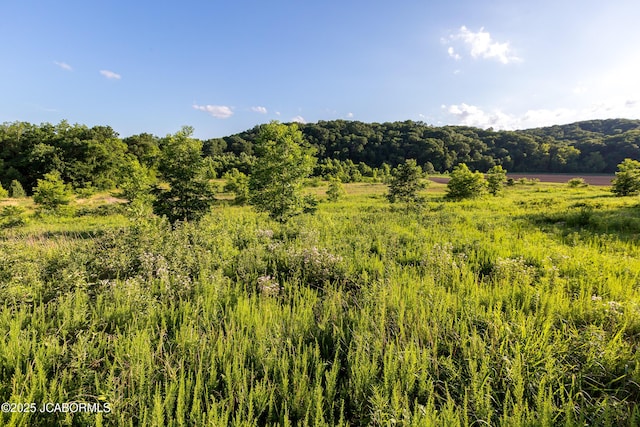 20200 S Jemerson Creek Rd, Hartsburg, MO 65039 - photo 20