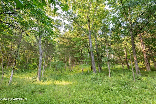 20200 S Jemerson Creek Rd, Hartsburg, MO 65039 - photo 19