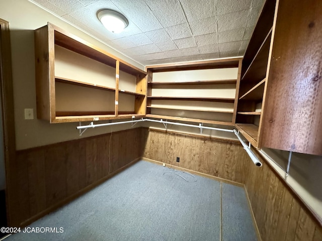 walk in closet with light colored carpet