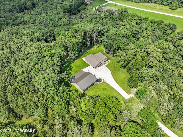 11169 Ridge Fork Dr, Holts Summit, MO 65043 - bird's eye view of a forest