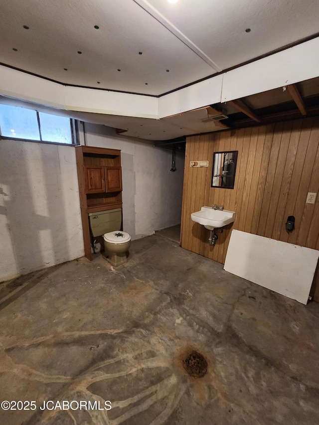 basement featuring wooden walls and a sink