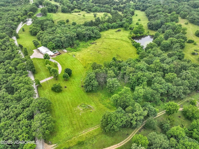 53036 Bird Haven Rd, Centertown, MO 65023 - bird's eye view