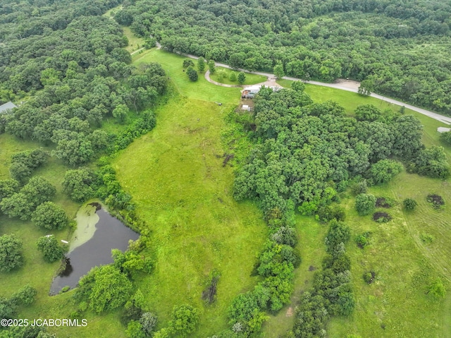 53036 Bird Haven Rd, Centertown, MO 65023 - drone / aerial view of a forest