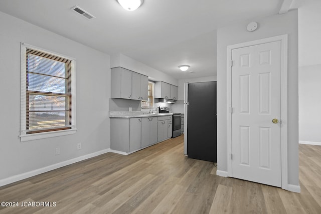 kitchen with stainless steel appliances, gray cabinetry, and light wood-type flooring