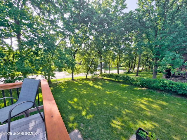 508 Stalcup St, Columbia, MO 65203 - photo 32