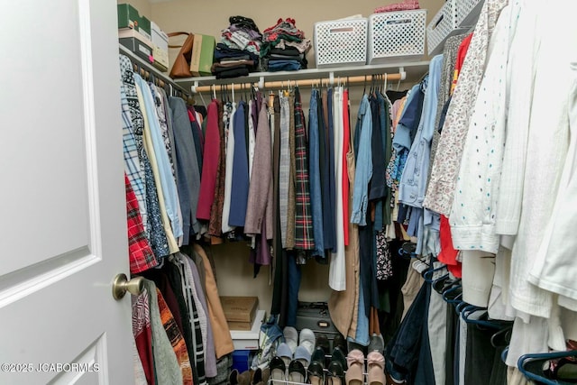 view of walk in closet