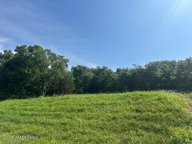 2235 Lorenzo Greene Dr, Jefferson City, MO 65101 - photo 1