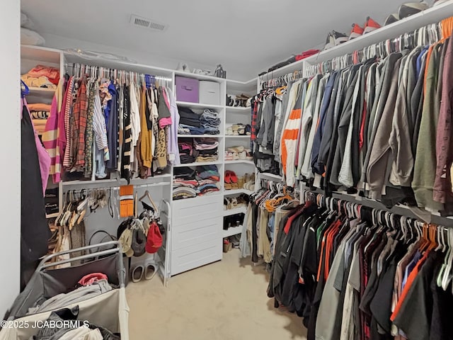 604 Mustang Dr, Ashland, MO 65010 - view of spacious closet