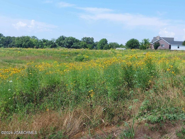 view of local wilderness with a rural view