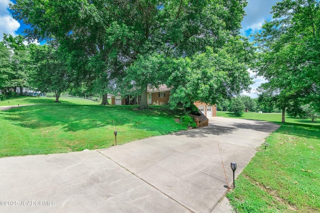 3609 Shamrock Rd, Jefferson City, MO 65101 - view of green lawn with concrete driveway and view of scattered trees