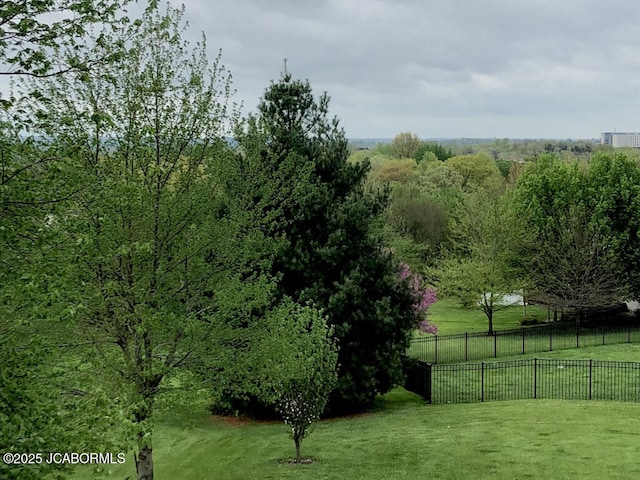 view of community with a yard