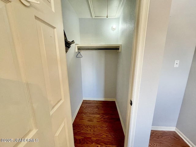 walk in closet with hardwood / wood-style floors