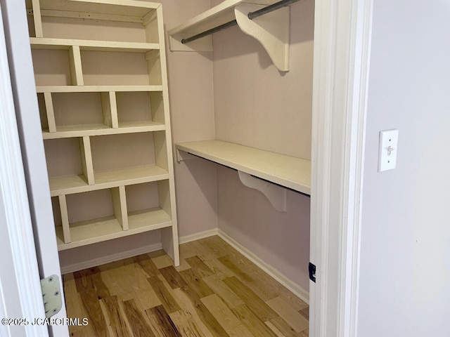 spacious closet featuring wood-type flooring