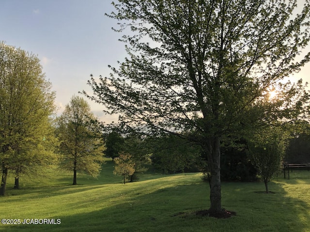 view of property's community featuring a yard