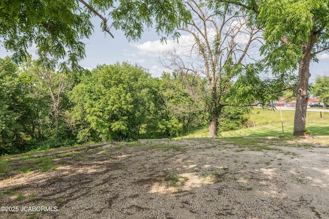 7515 Rte M, Jefferson City, MO 65101 - view of yard