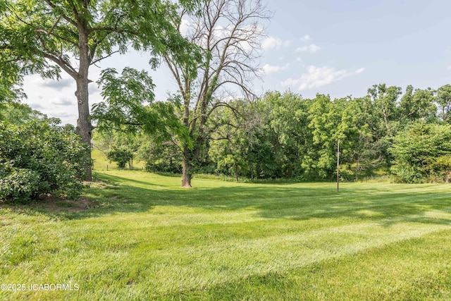 7515 Rte M, Jefferson City, MO 65101 - view of grassy yard