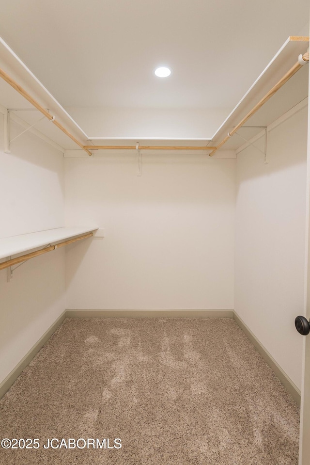 spacious closet featuring carpet floors