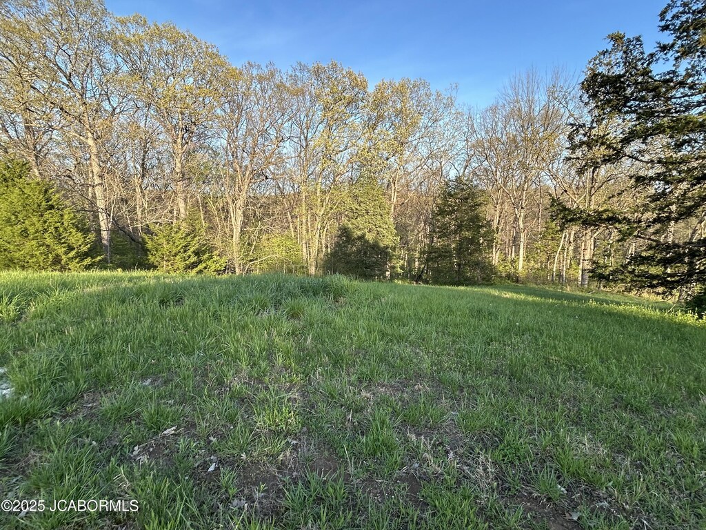 LOT1 Birdie Hill Rd, Holts Summit, MO 65043 - photo 2