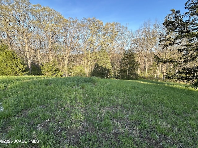 LOT1 Birdie Hill Rd, Holts Summit, MO 65043 - photo 2