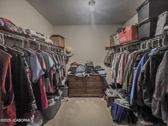 3674 State Rd, Aa, Holts Summit, MO 65043 - walk in closet featuring carpet