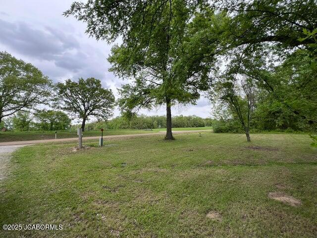 5888 State Rd E, Auxvasse, MO 65231 - view of green lawn