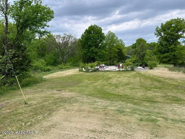 view of grassy yard