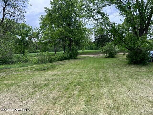 view of grassy yard