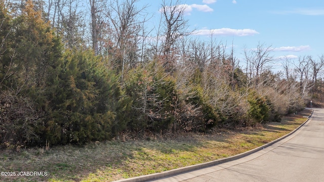 1625 Notting Hill Dr, Jefferson City, MO 65109 - photo 8
