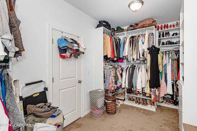 walk in closet with carpet flooring